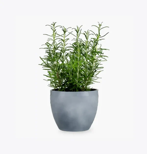 Men's Fingerless Mittens