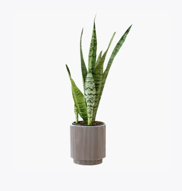 Men's Fingerless Mittens